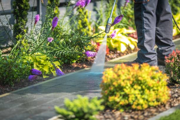 Professional Pressure Washing in La Vale, MD